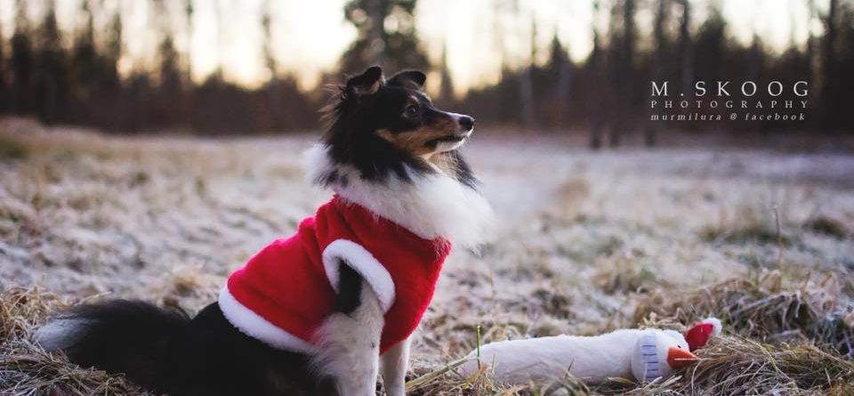 Öppettider under jul och nyår