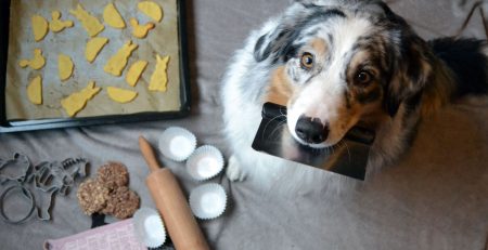 Recept pp Hundkakor