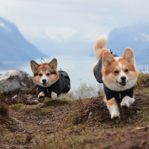Non-Stop Fjord Raincoat