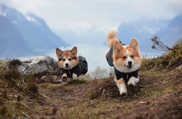 Non-Stop Fjord Raincoat