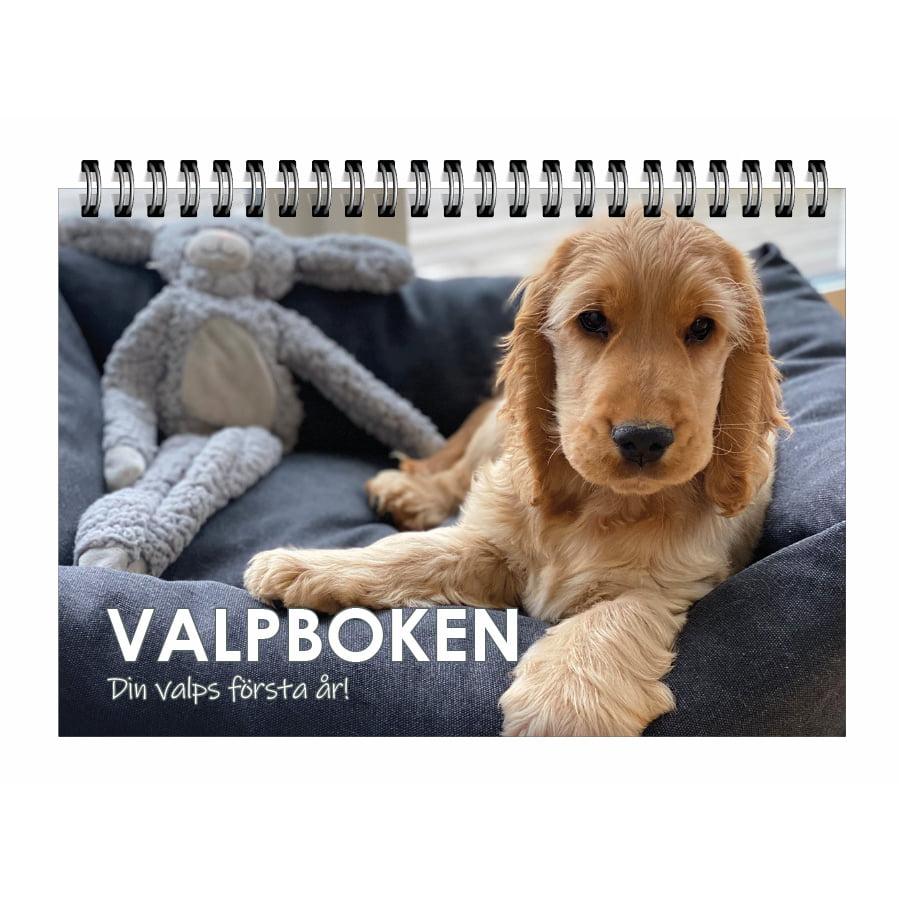 Valpboken