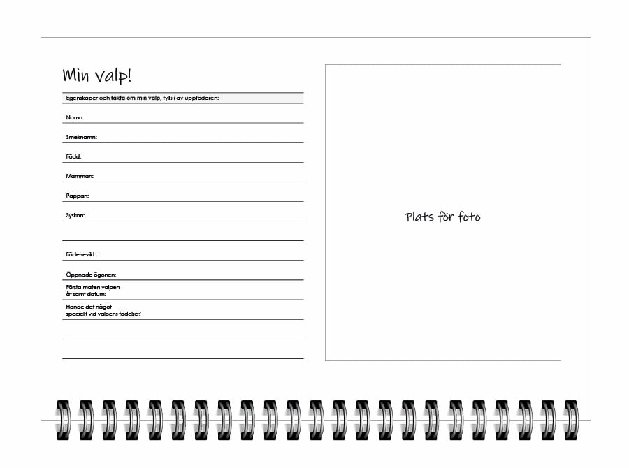 Valpboken - Bild 3