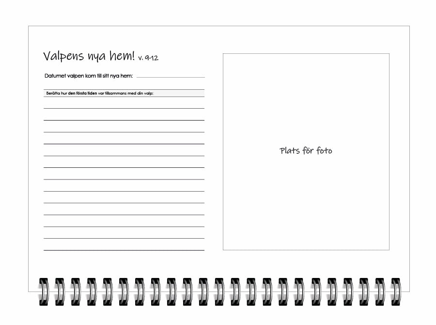 Valpboken - Bild 21
