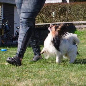 Rallylydnad fortsättningsklass