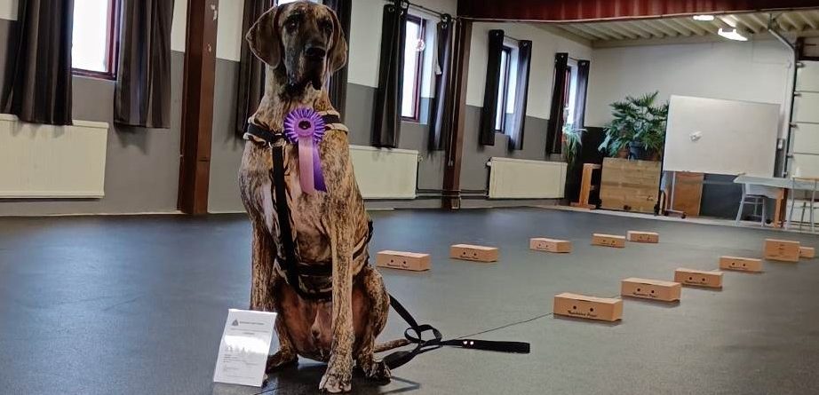 TRÄNING INFÖR DOFTPROV