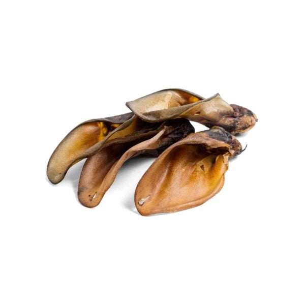 Oxoron med oronmussla