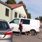 Clear Round nosework TSM