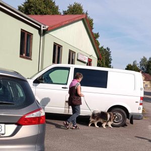 Clear Round nosework TSM