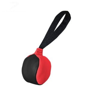 Laderpuck