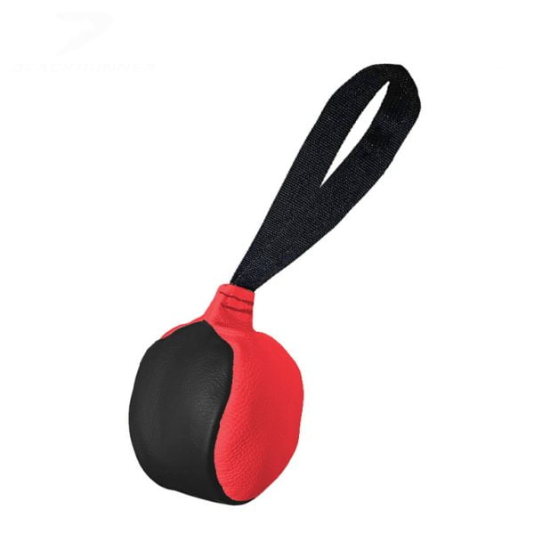 Laderpuck