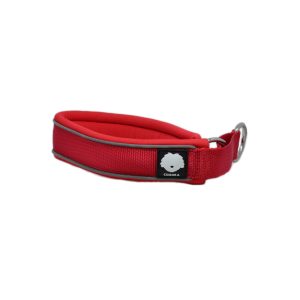 CSiGORA Hundhalsband Halvstryp - Bild 8