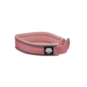 CSiGORA Hundhalsband Halvstryp - Bild 9