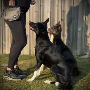 CSiGORA Krummi Beloningsvaska