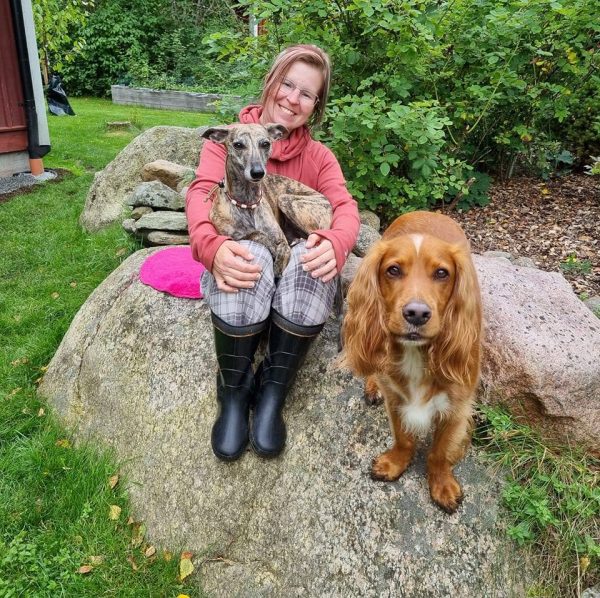 Lär hunden städa Lär hunden städa