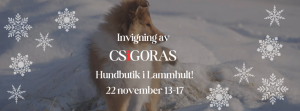 Invigning av CSiGORAs Hundbutik i Lammhult
