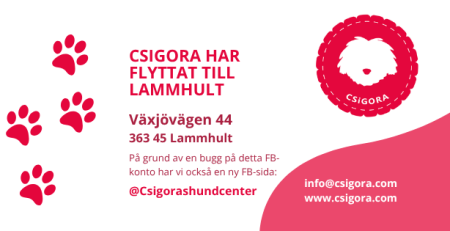 Csigora i Lammhult