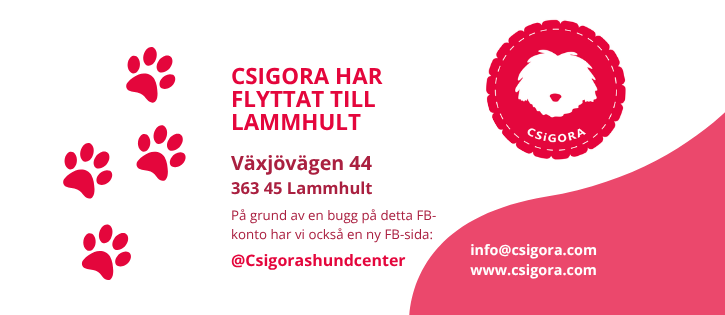Csigora i Lammhult