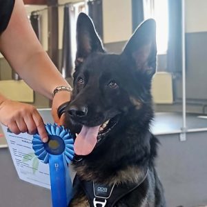 Doftprov alla klasser hos CSiGORA i Lammhult