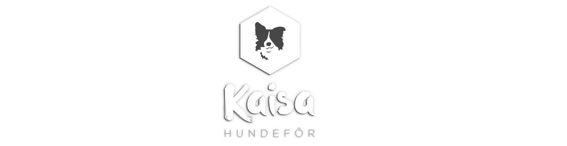 Kaisa