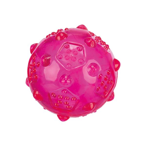 Boll tpr En rosa hundleksaksboll