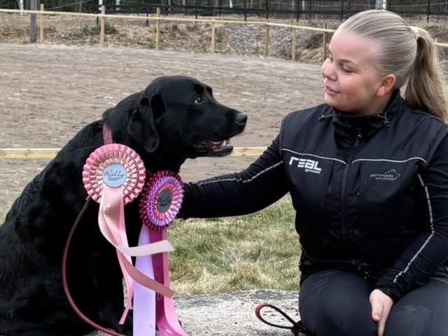 Maja Erixon hos CSiGORA