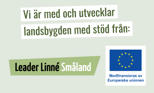 Leader linné