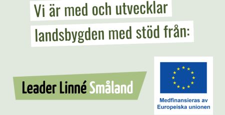 Leader linné