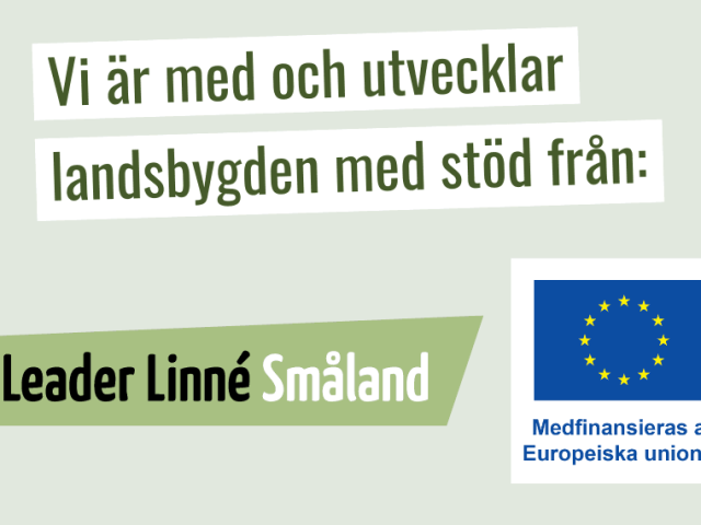 Leader linné