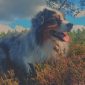 Hundsyn genom historien