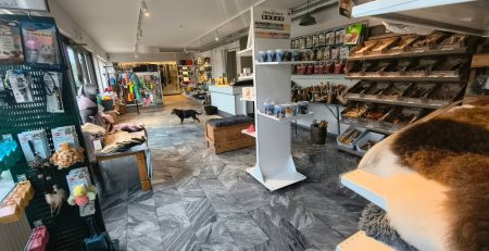 Öppet hus hos CSiGORA när Lammhult visar industrin