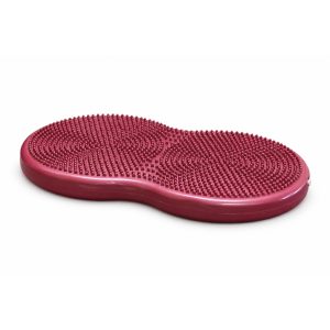 Dubbeldisk 55 cm Àr balansredskap för hund