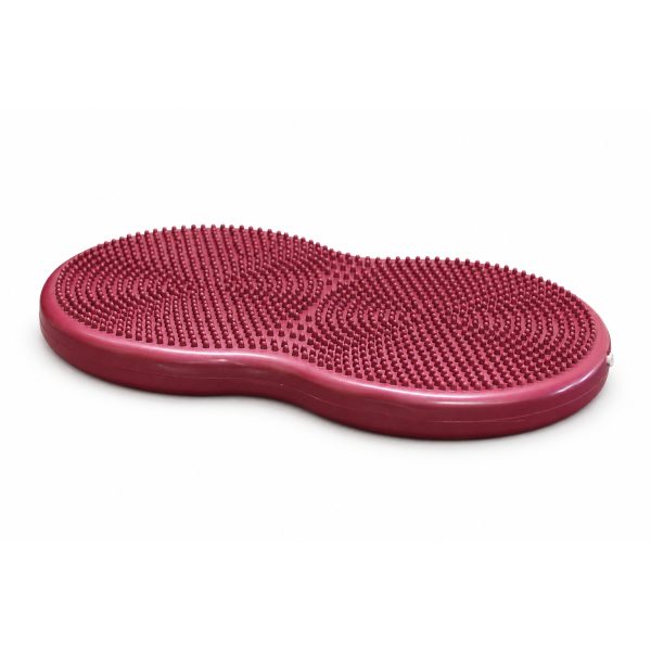 Dubbeldisk 55 cm 3 Dubbeldisk 55 cm är balansredskap för hund