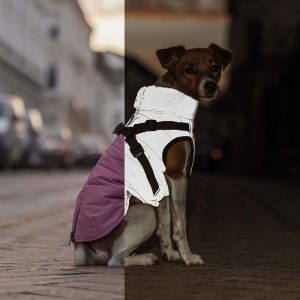 Trixie Pontis Reflextacke Vintertacke