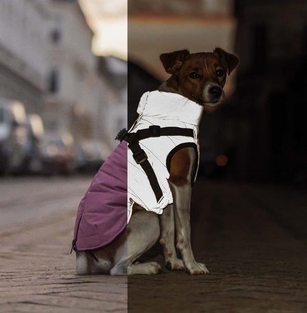 Trixie Pontis Reflextacke Vintertacke