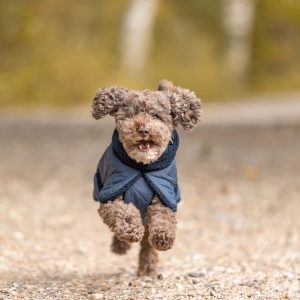 Trixie Minot Sherpa Tacke Bla